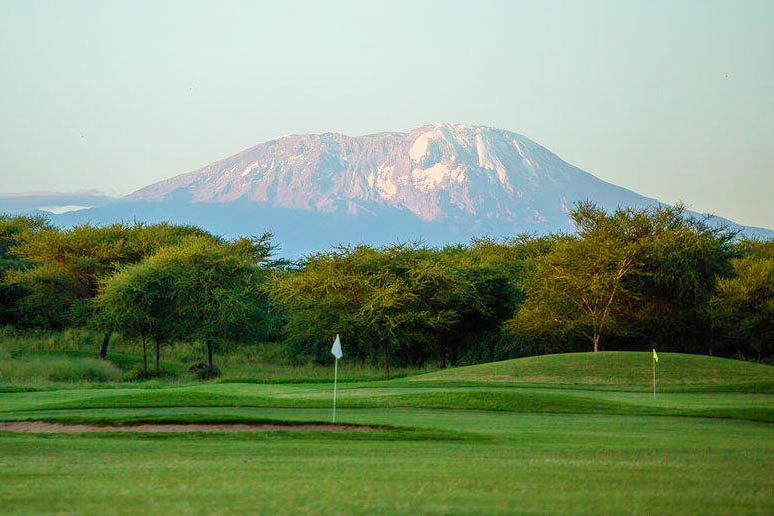 Kilimanjaro gold corse in Tanzania