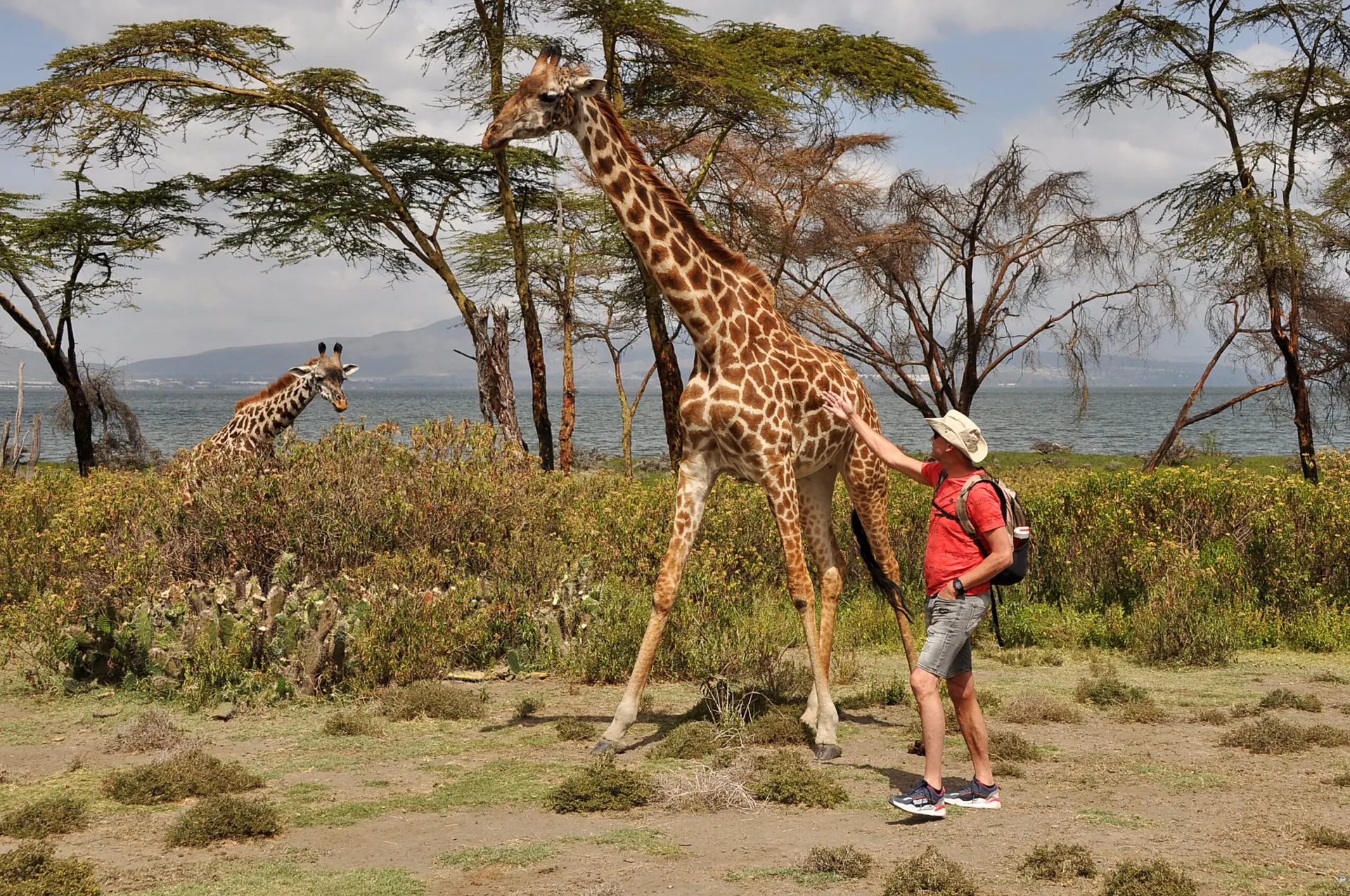 lazy-lion-safaris-lake-naivasha-Kenya