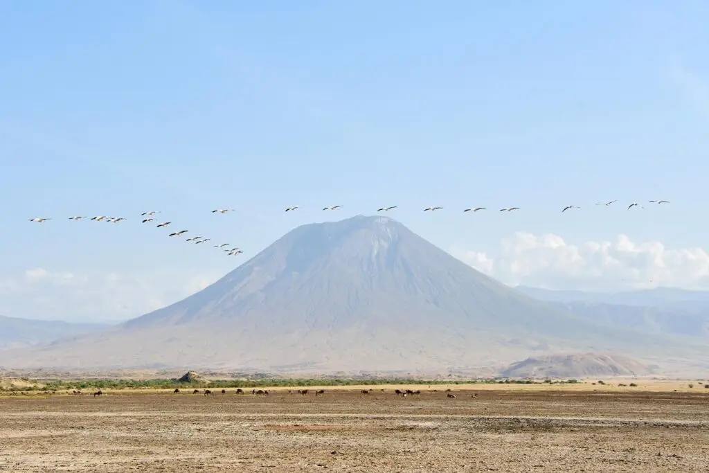 Ol Donyo Lengai bij Lake Natron in Tanzania met LAZY LION SAFARIS