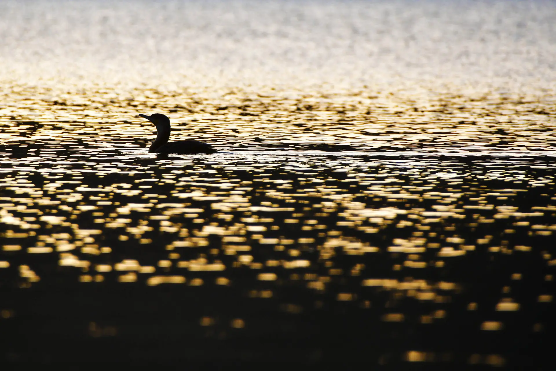 Lake Duluti in Tanzania met LAZY LION SAFARIS