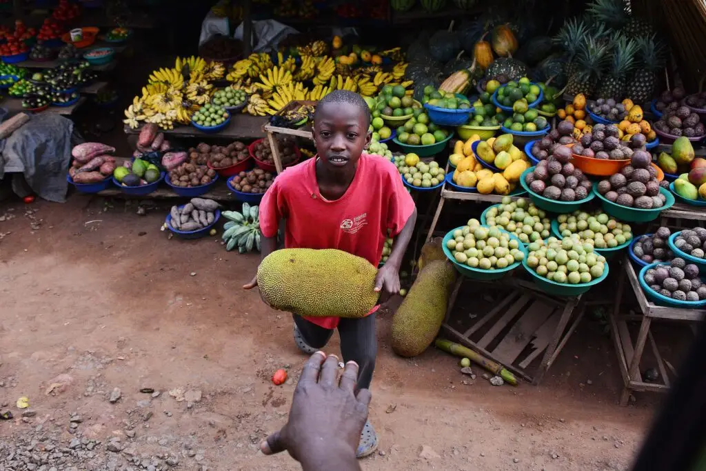 Jackfruit op markt in Oost Afrika
