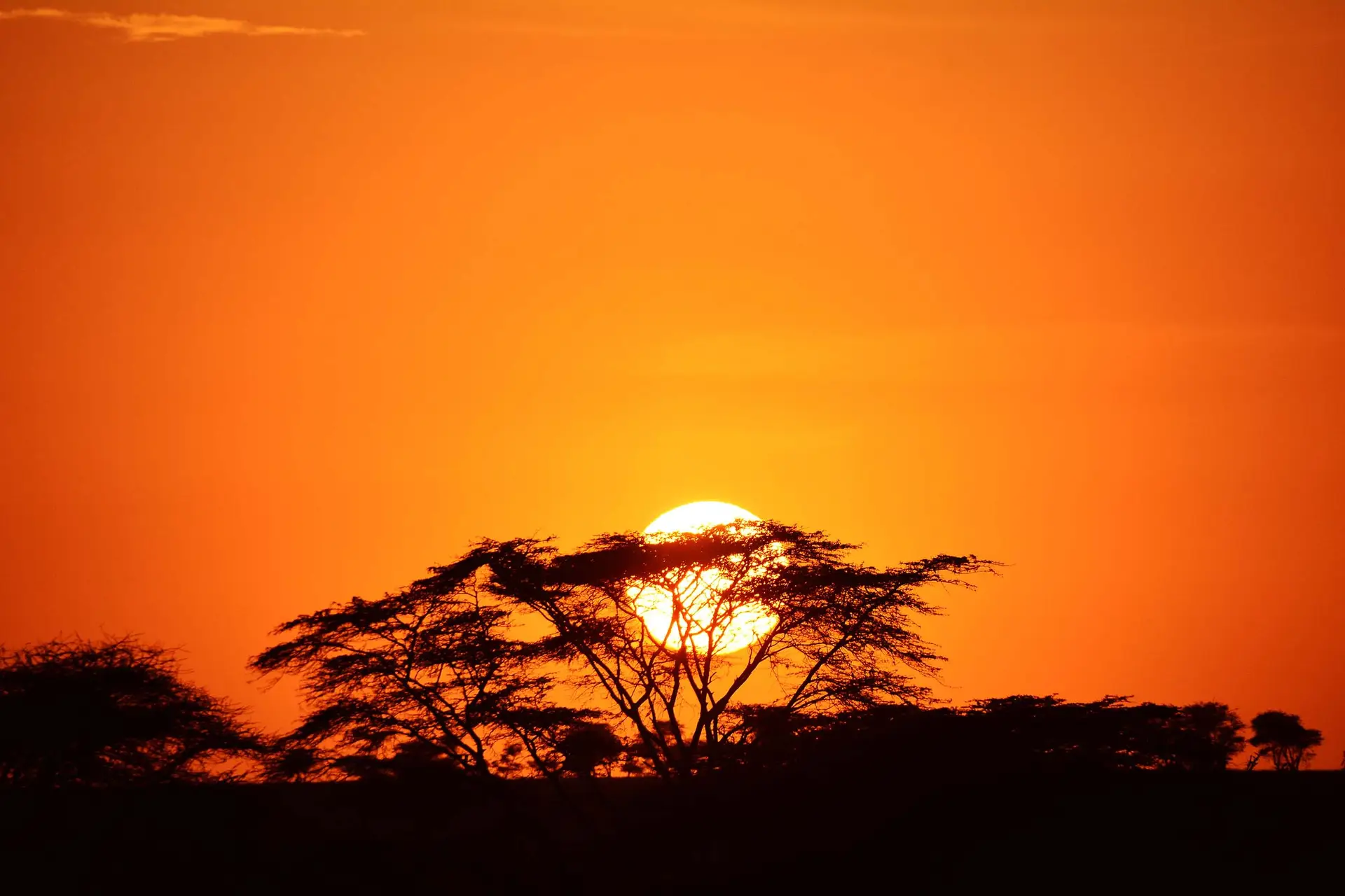 sunrise in Serengeti, Tanzania