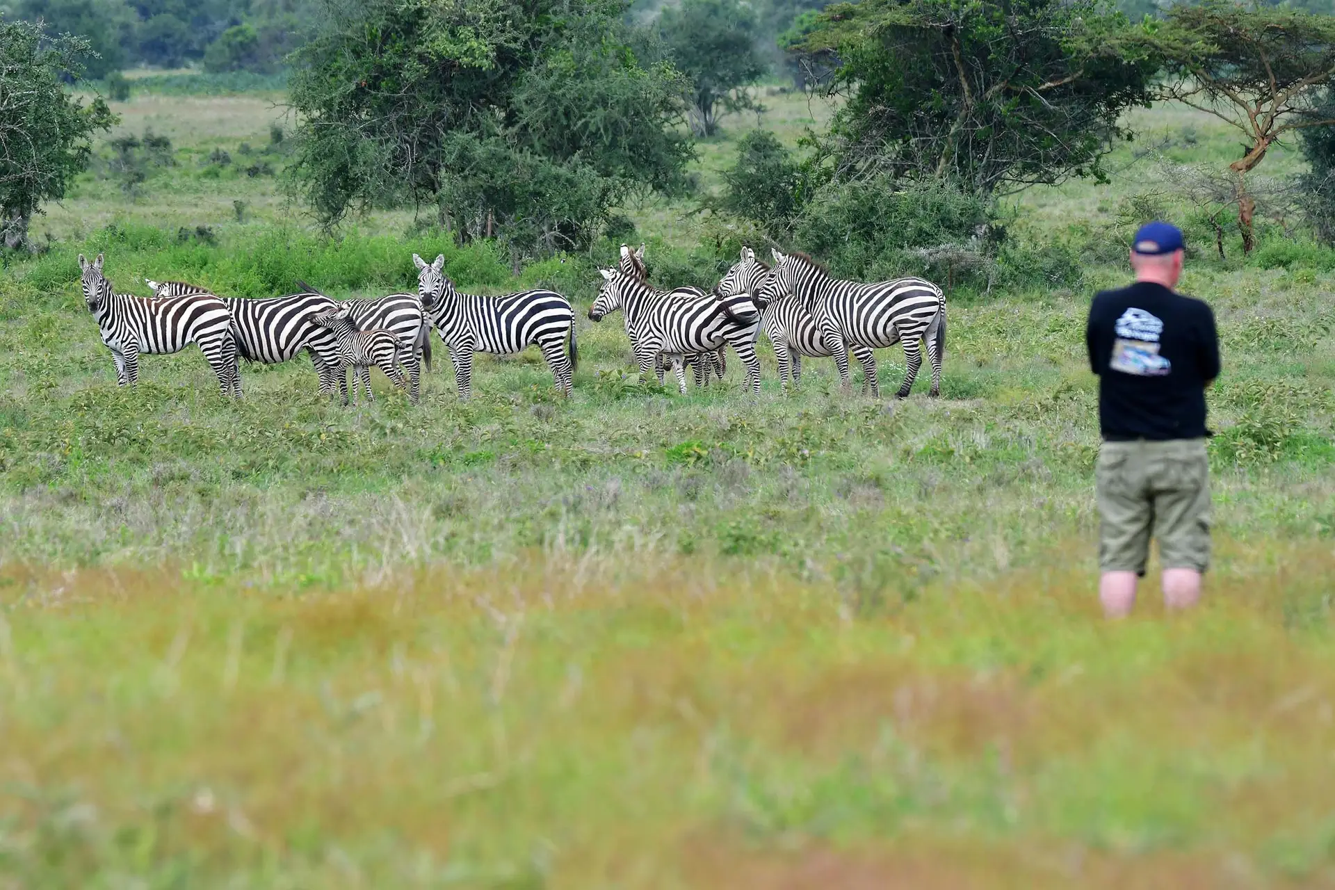 Game walk in Oost-Afrika met LAZY LION SAFARIS