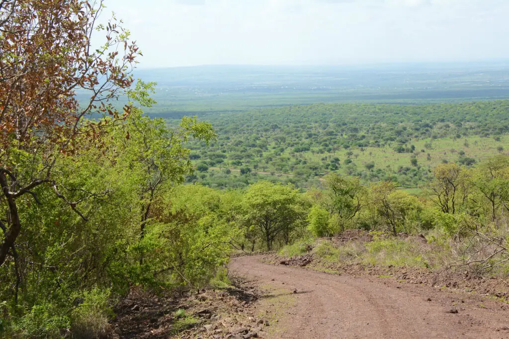 makuyuni-wildlife-park-lazy-lion-safaris-tanzania