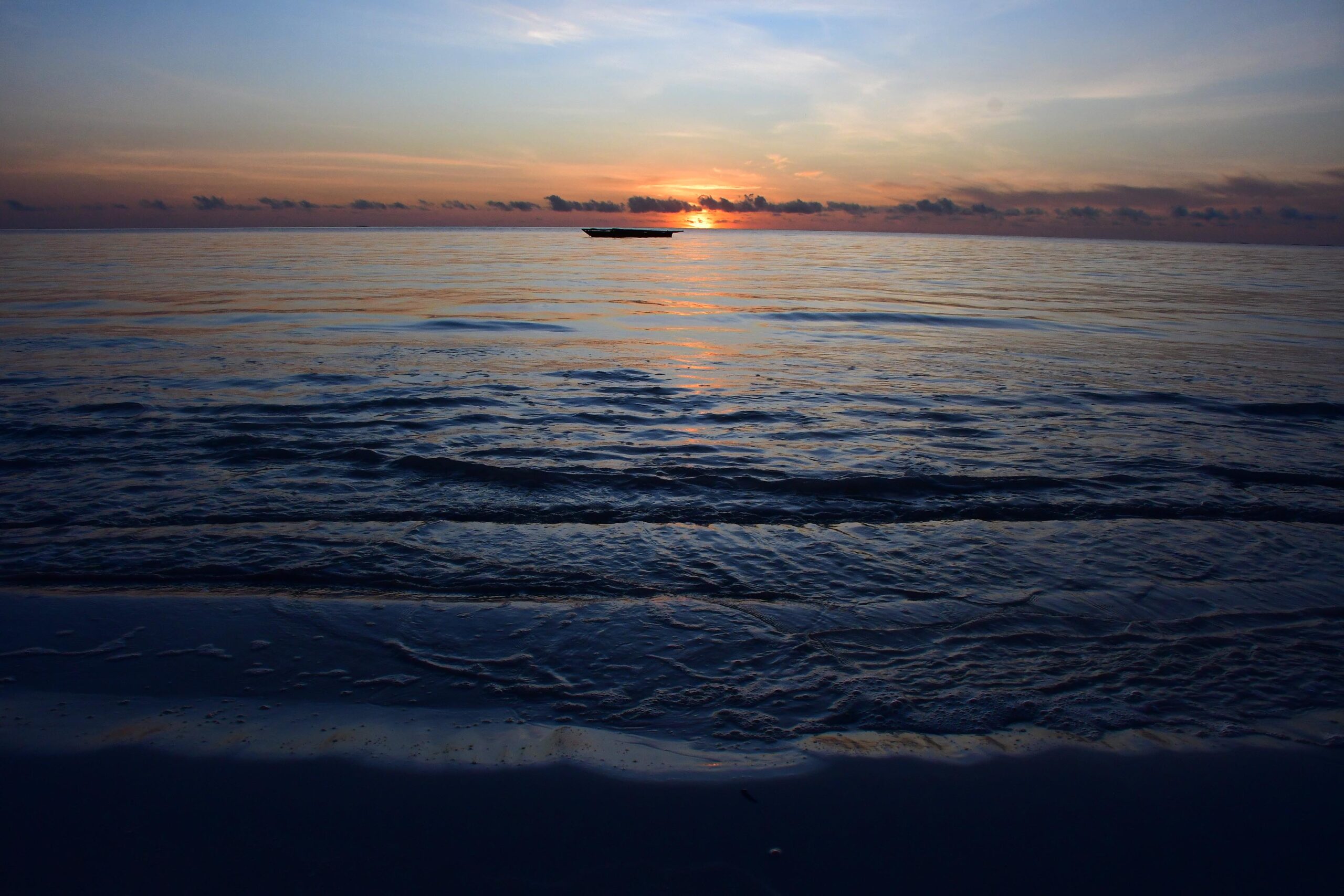 LODSC_5851