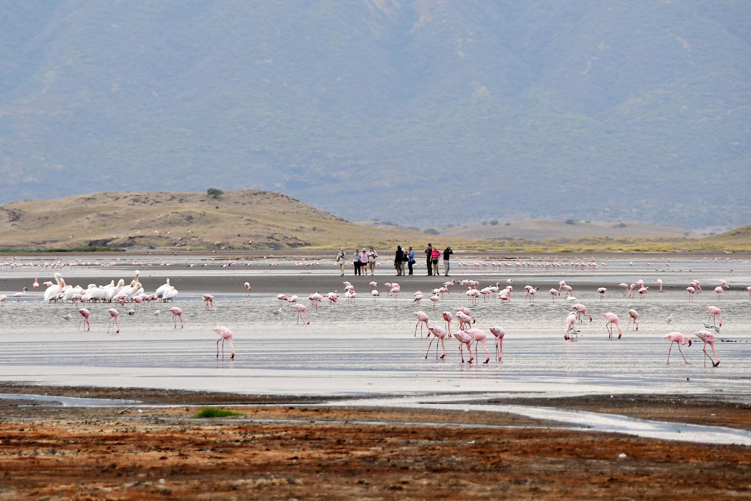 lake-natron-tanzania-lazy-lion-safaris