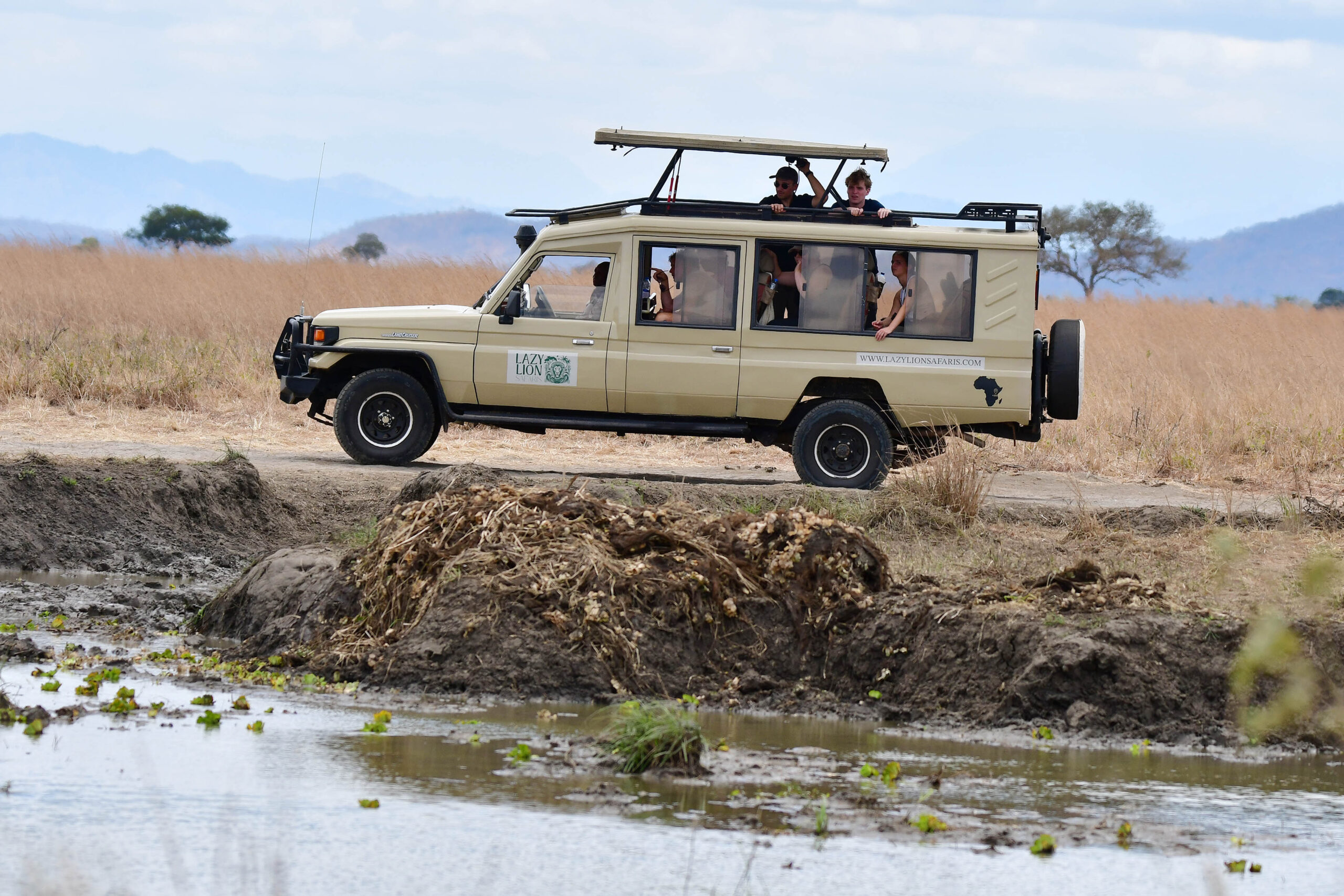 lazy-lion-safaris-tanzania