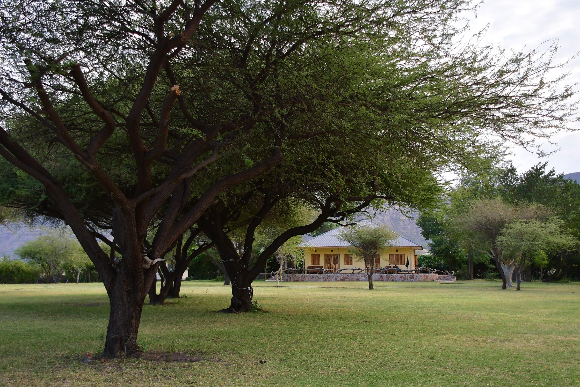 maasai-giraffe-eco-lodge-natron-lazy-lion-safaris-tanzania