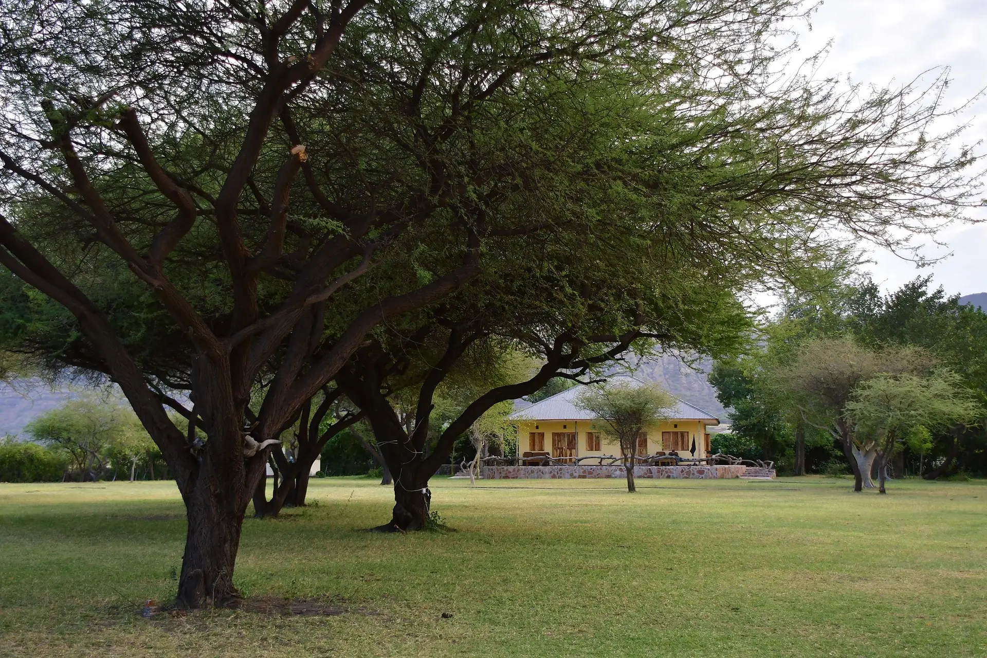 maasai giraffe eco lodge langs Lake Natron in Tanzania met LAZY LION SAFARIS