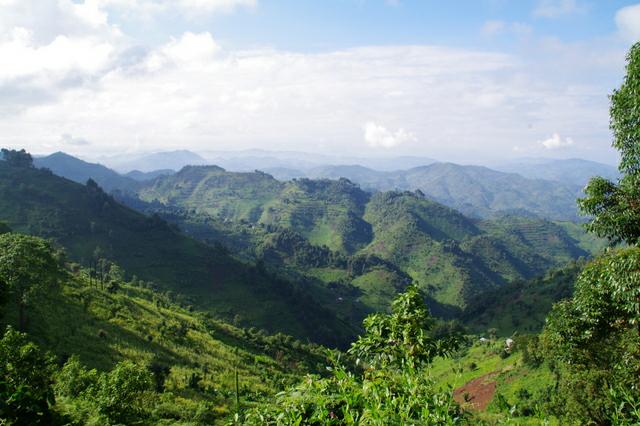 broadbill gallery_05