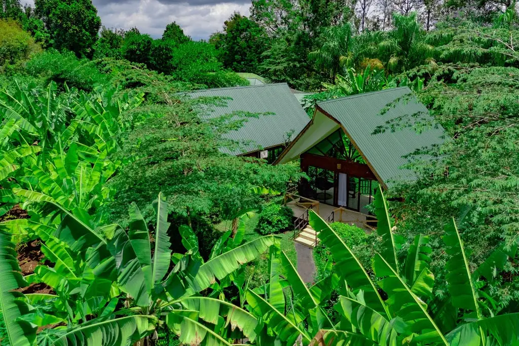 Shose farmhouse & challets in Moshi, Tanzania met LAZY LION SAFARIS