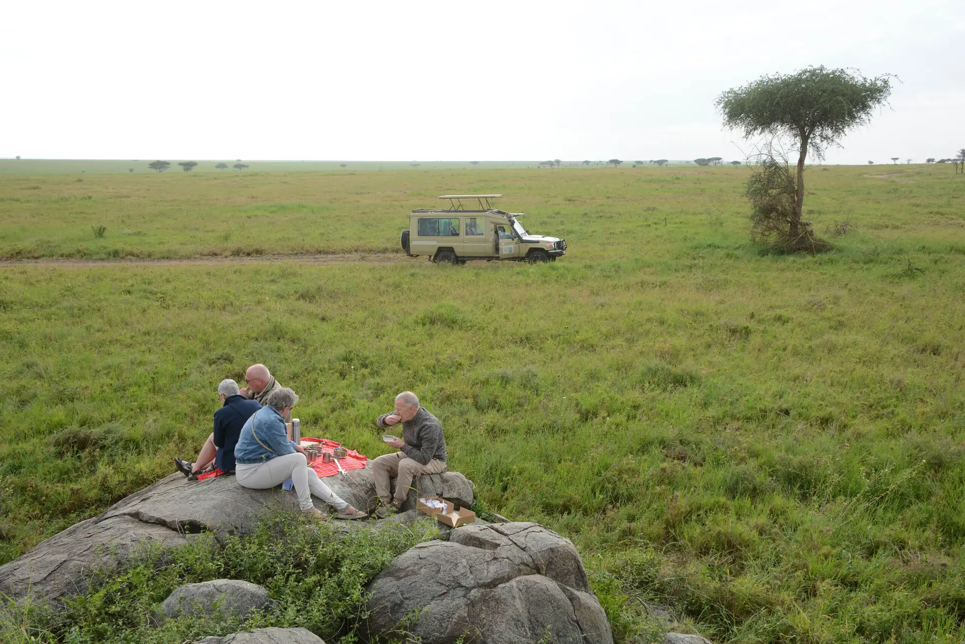 privé picknick in Serengeti NP, Tanzania met LAZY LION SAFARIS