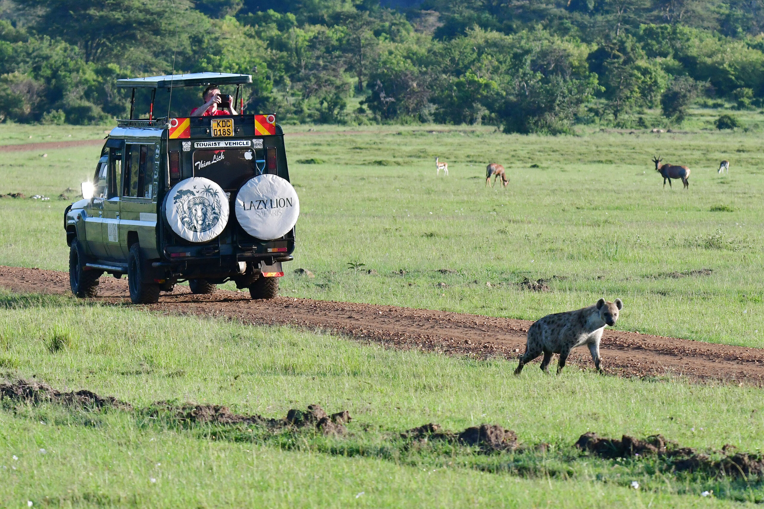 op safari in Masai Mara met LAZY LION SAFARIS