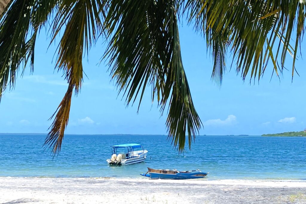 BASECAMP_MAFIA_ISLAND_Coastal
