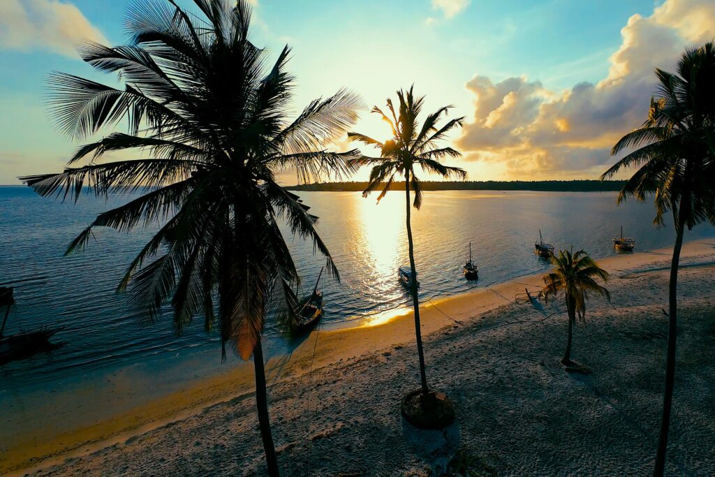 BASECAMP_MAFIA_ISLAND_Coastal