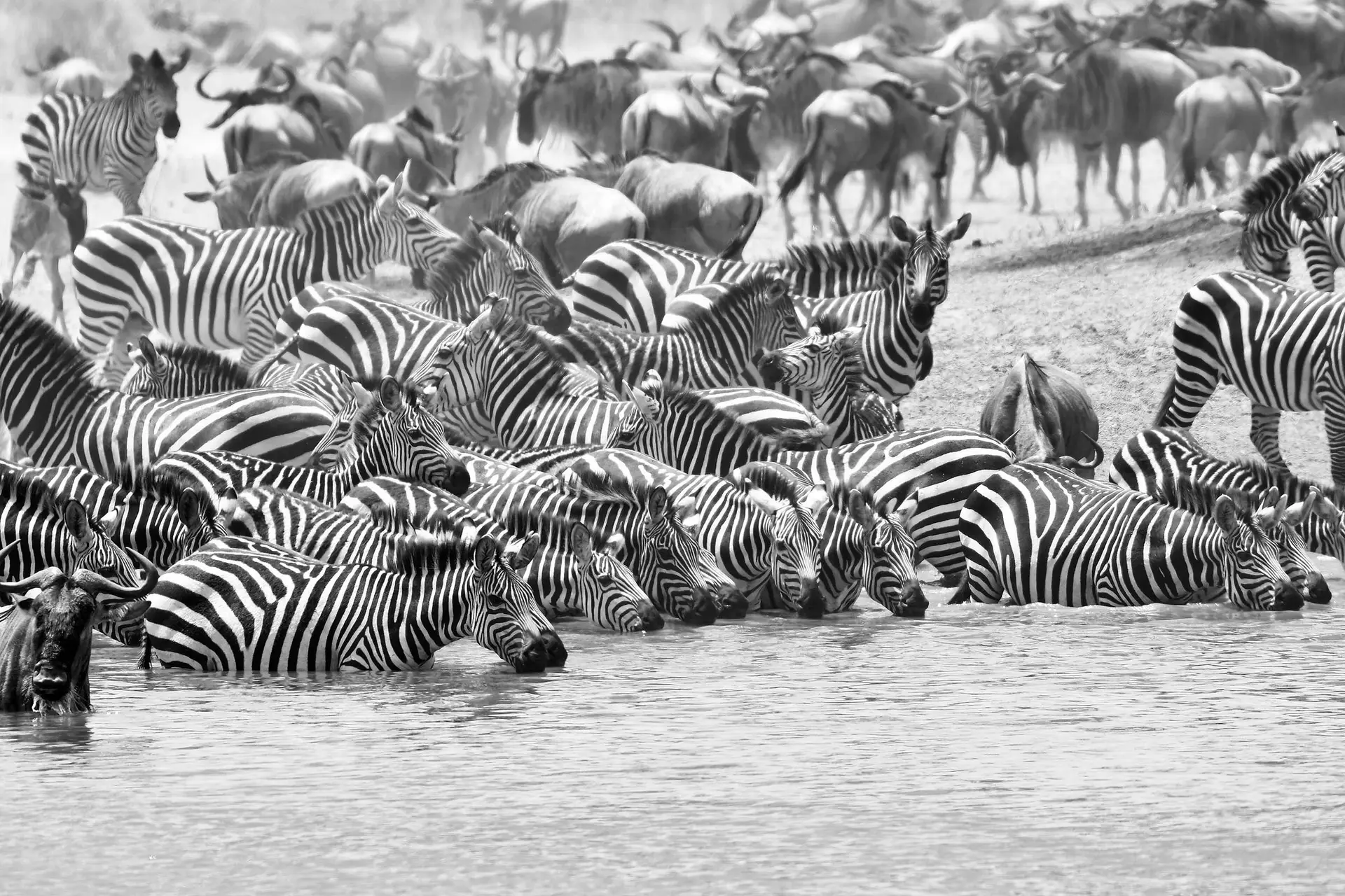 Tarangire NP in Tanzania