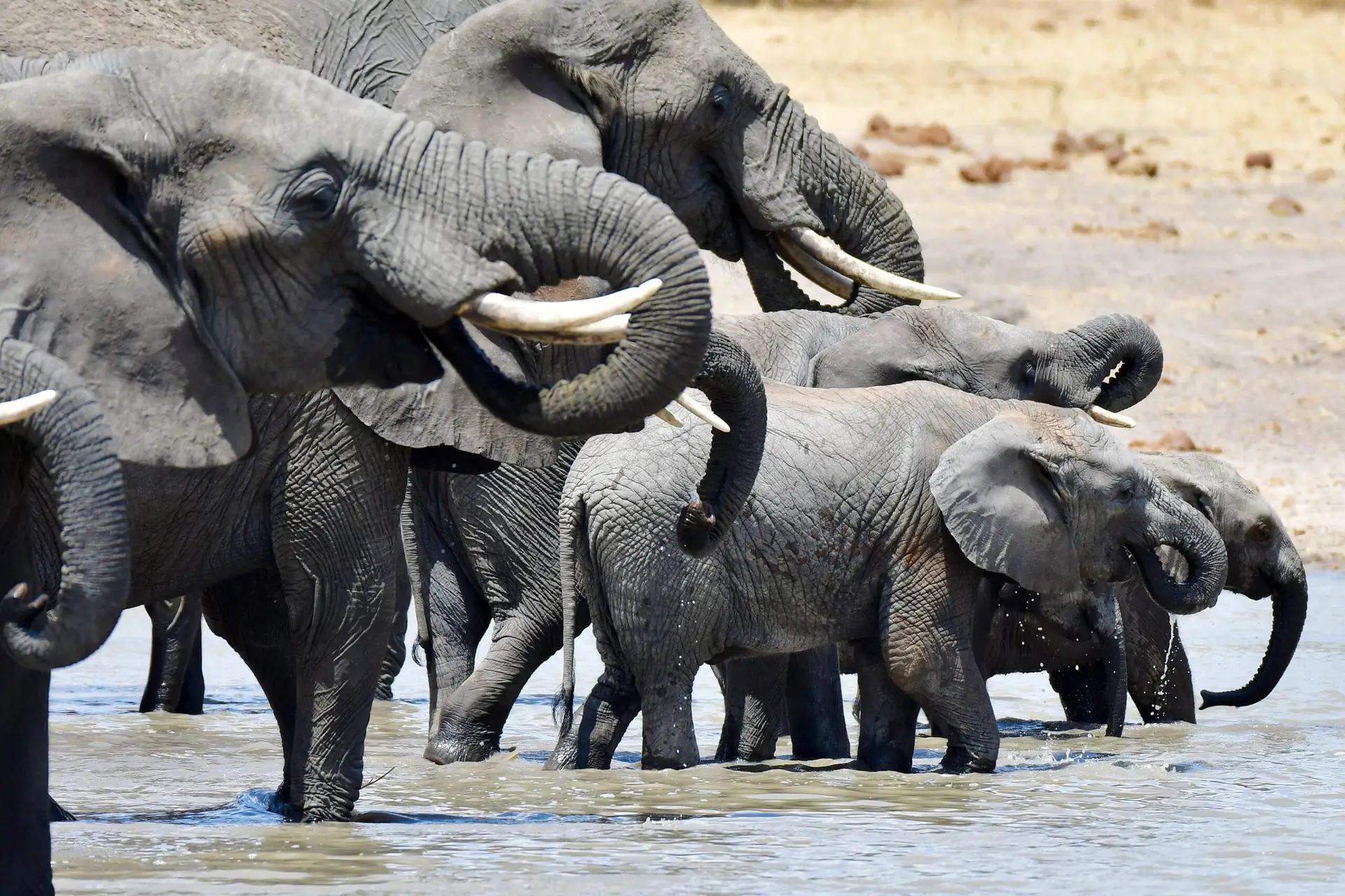 Tarangire NP in Tanzania