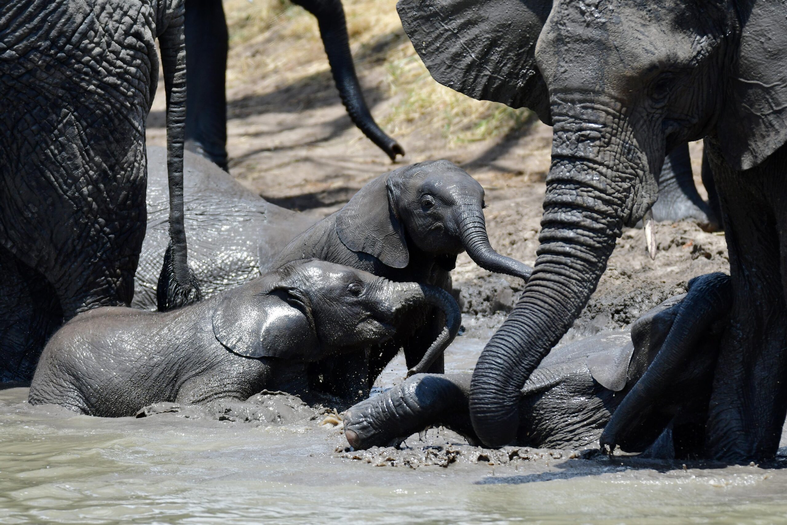 Tarangire NP in Tanzania